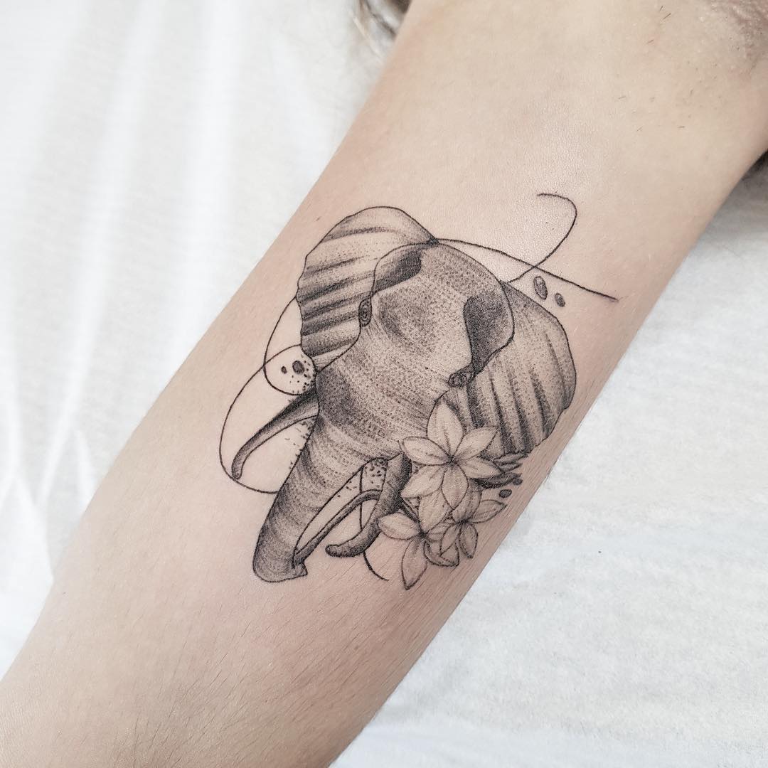 ֱۺڻСӣͼ